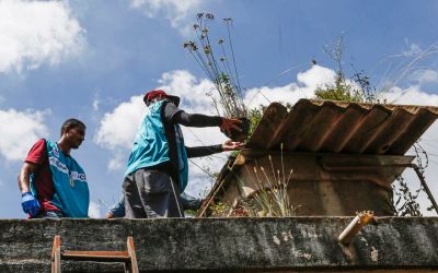 Saúde reforça monitoramento e ações de controle da dengue em 4 estados